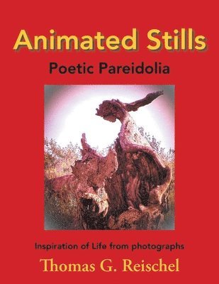 bokomslag Animated Stills: Poetic Pareidolia