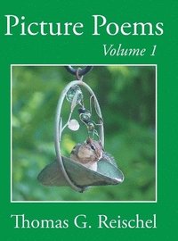 bokomslag Picture Poems Volume 1