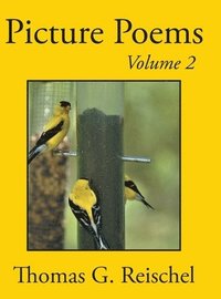 bokomslag Picture Poems Volume 2