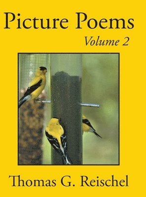 bokomslag Picture Poems Volume 2