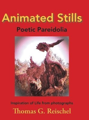 Thomas Reischel - Animated Stills, Inbunden