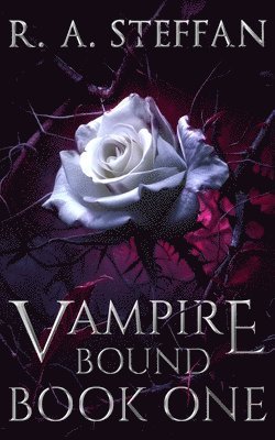 bokomslag Vampire Bound