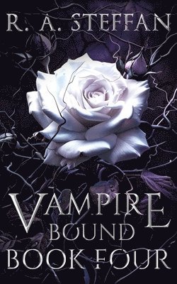 bokomslag Vampire Bound