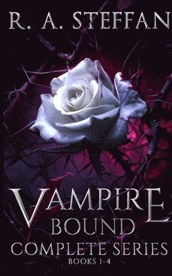 bokomslag Vampire Bound