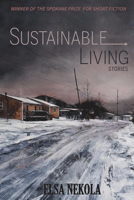 bokomslag Sustainable Living