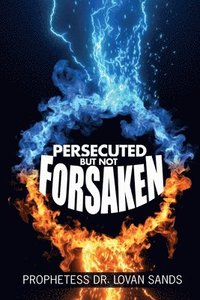 bokomslag Persecuted But Not Forsaken