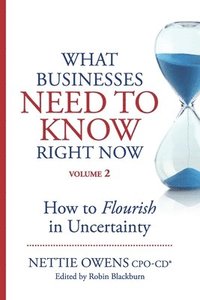 bokomslag What Businesses Need to Know Right Now Volume 2