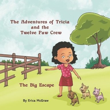 Erica McGraw - The Big Escape, Häftad