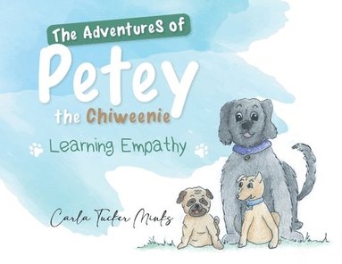bokomslag Adventures of Petey the Chiweenie