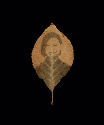 Binh Danh: The Enigma of Belonging 1