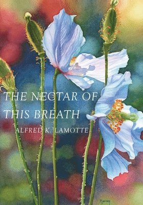 Alfred K Lamotte, Alfred K. Lamotte, K LaMotte, Alfred - Nectar of This Breath, Häftad