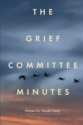 bokomslag The Grief Committee Minutes