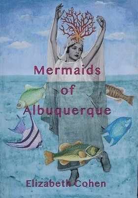 bokomslag Mermaids of Albuquerque