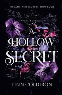 bokomslag Hollow Secret