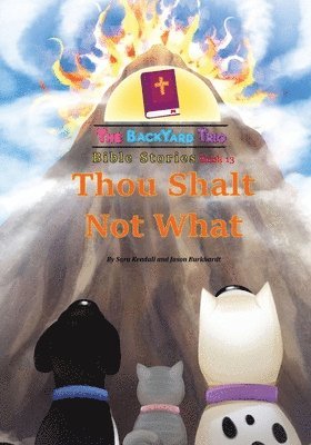 Sara Kendall, Jason Burkhardt - Thou Shalt Not What, Häftad