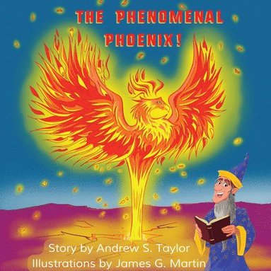 bokomslag Phenomenal Phoenix!