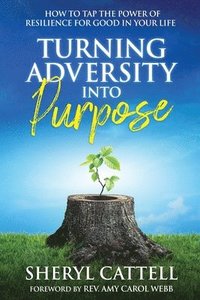 bokomslag Turning Adversity into Purpose