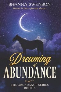 bokomslag Dreaming of Abundance