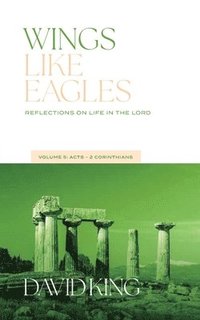 bokomslag Wings Like Eagles: Reflections on Life in the Lord Vol. 5: Acts-Galatians