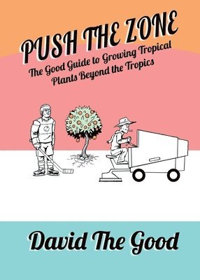 David The Good - Push the Zone, Häftad