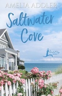 bokomslag Saltwater Cove