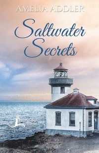 bokomslag Saltwater Secrets