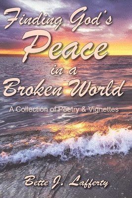 bokomslag Finding God's Peace in a Broken World