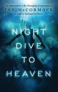 bokomslag Night Dive to Heaven