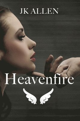 bokomslag Heavenfire