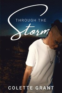 bokomslag Through The Storm