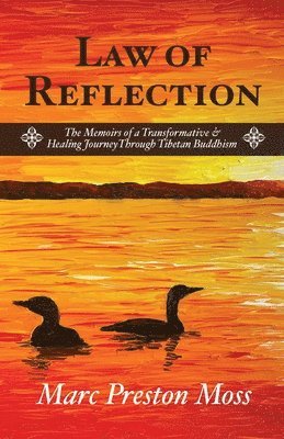 Law of Reflection 1