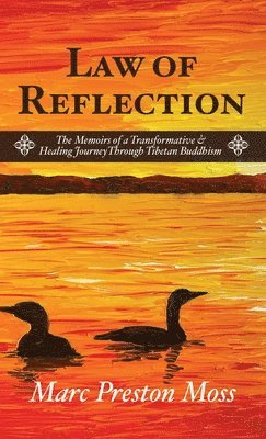 Law of Reflection 1
