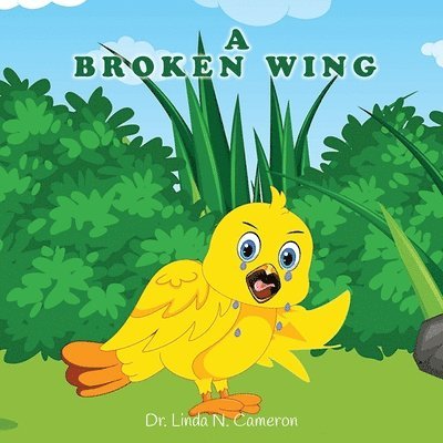 A Broken Wing 1