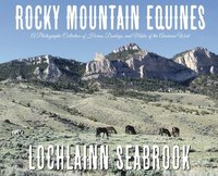 bokomslag Rocky Mountain Equines
