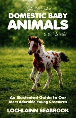 50 Cutest Domestic Baby Animals in the World