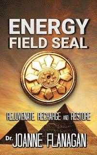 bokomslag Energy Field Seal