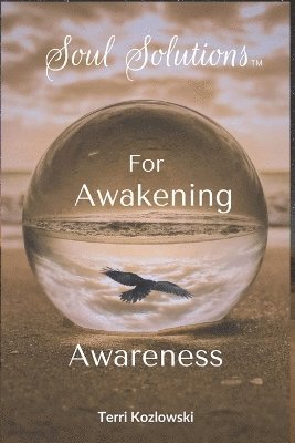 Terri Kozlowski - Soul Solutions for Awakening Awareness, Häftad