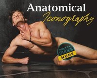 bokomslag Anatomical Iconography