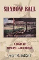 bokomslag Shadow Ball