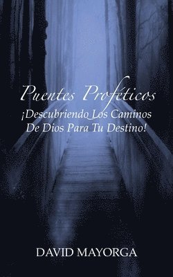 bokomslag Puentes Proféticos