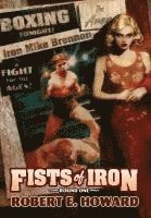 bokomslag Fists of Iron Round One