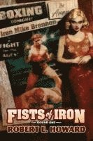 bokomslag Fists of Iron Round One