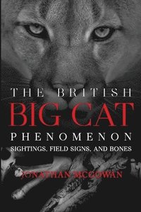 bokomslag The British Big Cat Phenomenon
