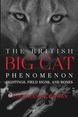 Jonathan McGowan - British Big Cat Phenomenon, Häftad