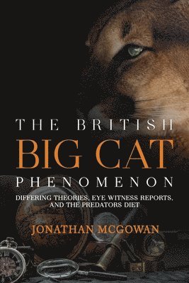 bokomslag The British Big Cat Phenomenon