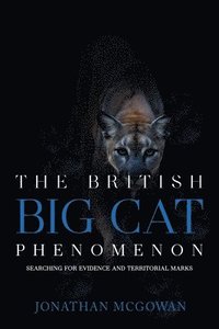 bokomslag The British Big Cat Phenomenon