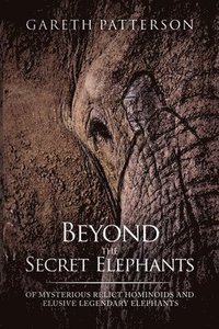 bokomslag Beyond the Secret Elephants