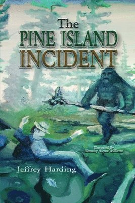 bokomslag Pine Island Incident