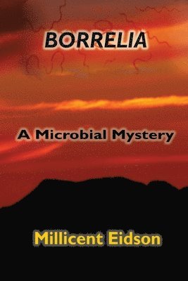 bokomslag Borrelia