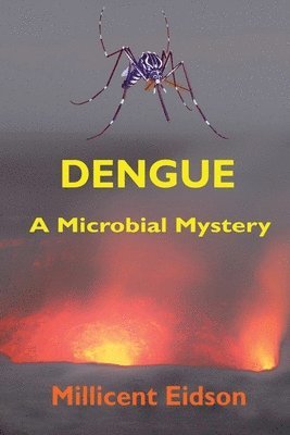 bokomslag Dengue